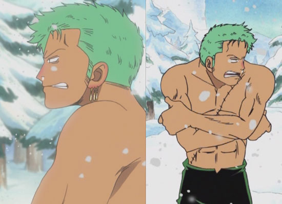 zoro, there's some snot of your face